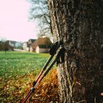 Nordic walking poles
