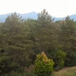 Hyatt Thessaloniki gardens